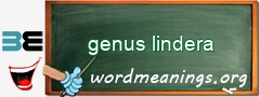 WordMeaning blackboard for genus lindera